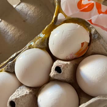 Migros Hemen Siparişimde Kırık Yumurta Ve Zarar Gören Ürünler Mağduriyetimi Artırdı