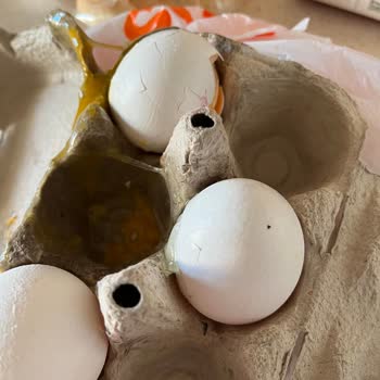 Migros Hemen Siparişimde Kırık Yumurta Ve Zarar Gören Ürünler Mağduriyetimi Artırdı