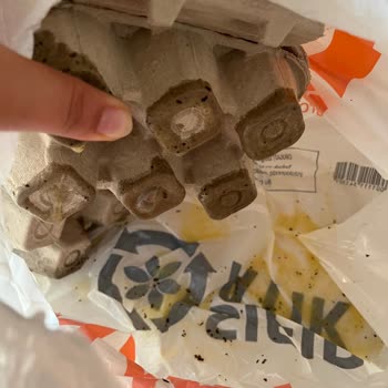 Migros Hemen Siparişimde Kırık Yumurta Ve Zarar Gören Ürünler Mağduriyetimi Artırdı