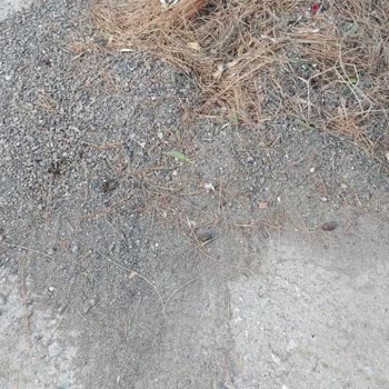 Fiber Altyapı Sonrası Bozuk Asfalt Çevreyi Ve Araçları Tehdit Ediyor