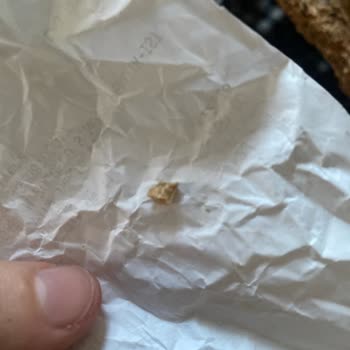 Tatbak Gıda Soğuk Baklavada Fıstık Kabuğu Şoku!