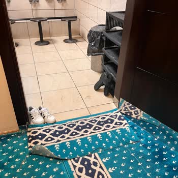 Köfteci Yusuf Mescidinde Süregelen Temizlik Sorunu Ve İlgisizlik