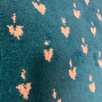 Köfteci Yusuf Mescidinde Süregelen Temizlik Sorunu Ve İlgisizlik