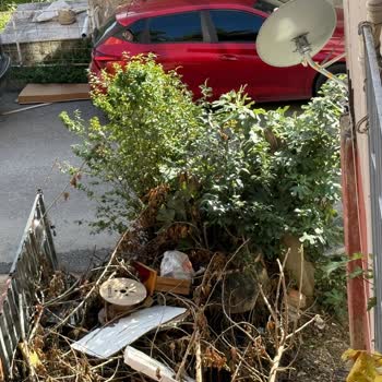 Yangın Riski Oluşturan Budanmış Dalların Acil Olarak Kaldırılmasını Talep Ediyorum