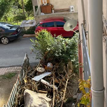 Yangın Riski Oluşturan Budanmış Dalların Acil Olarak Kaldırılmasını Talep Ediyorum