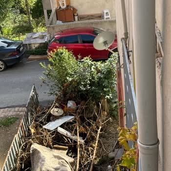 Yangın Riski Oluşturan Budanmış Dalların Acil Olarak Kaldırılmasını Talep Ediyorum