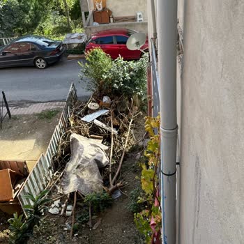 Yangın Riski Oluşturan Budanmış Dalların Acil Olarak Kaldırılmasını Talep Ediyorum