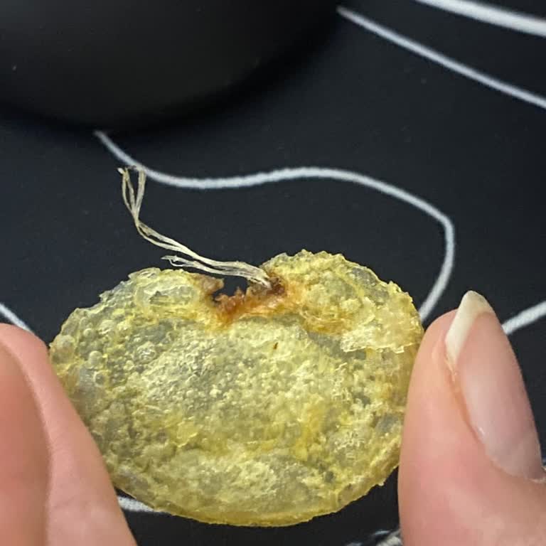 Lays Cipsin İçinde Plastik Parça Buldum