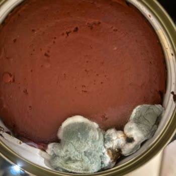 Domates Salçasında Küflenme ve Ürün Değişim Talebi