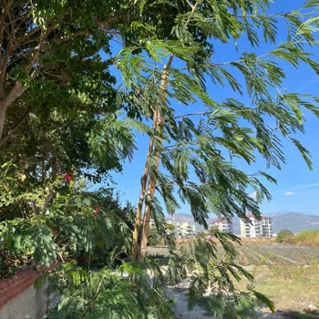 Aydoğdu Botanik Yanlış Ürün Gönderdi