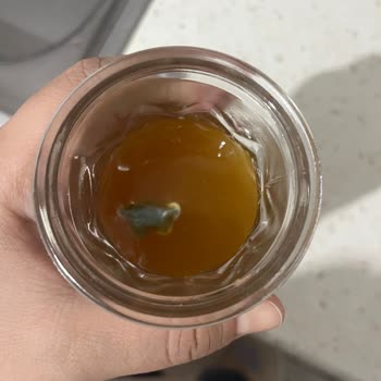 Aldığım Meyve Suyunda Küf Çıktı Mağazadaki İlgisizlik Mağduriyetimi Artırdı