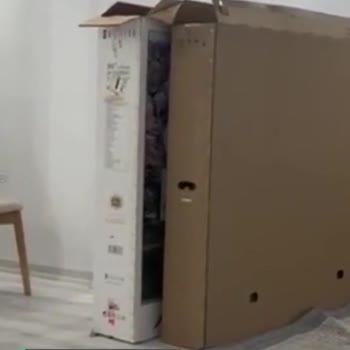 Dijitsu Pişmanlıktır, Asla İlgilenmiyorlar!