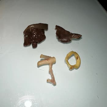 Köfteci Yusuf Çorbada Yabancı Parçalar Ve İletişimsizlik Mağduriyeti