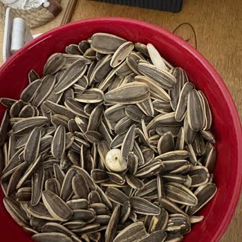 Aldığım Çekirdeğin İçinden Salyangoz Çıktı Hijyen Ve Güvenlik Endişesi Yaşıyorum