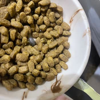 Pro Plan Mamalarında Sürekli Karşılaşılan Sorunlar Ve Mağduriyet