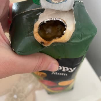 Bozuk Ürün Nedeniyle Ücret İadesi Yapılmadı