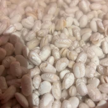 Reis Kuru Fasulyede Kalite Sorunu Ve Ücret İadesi Talebi