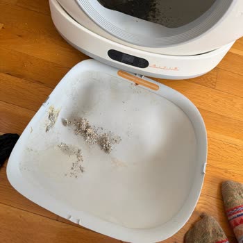 Akıllı Kedi Tuvaleti Hayal Kırıklığı: Koku, Hijyen Ve İade Sorunu