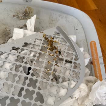 Akıllı Kedi Tuvaleti Hayal Kırıklığı: Koku, Hijyen Ve İade Sorunu