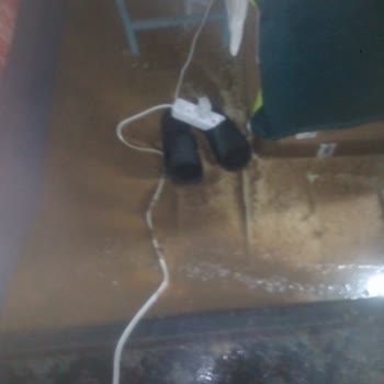 Tekrarlayan Lağım Suyu Baskını Nedeniyle Acil Altyapı Çözümü Talebi