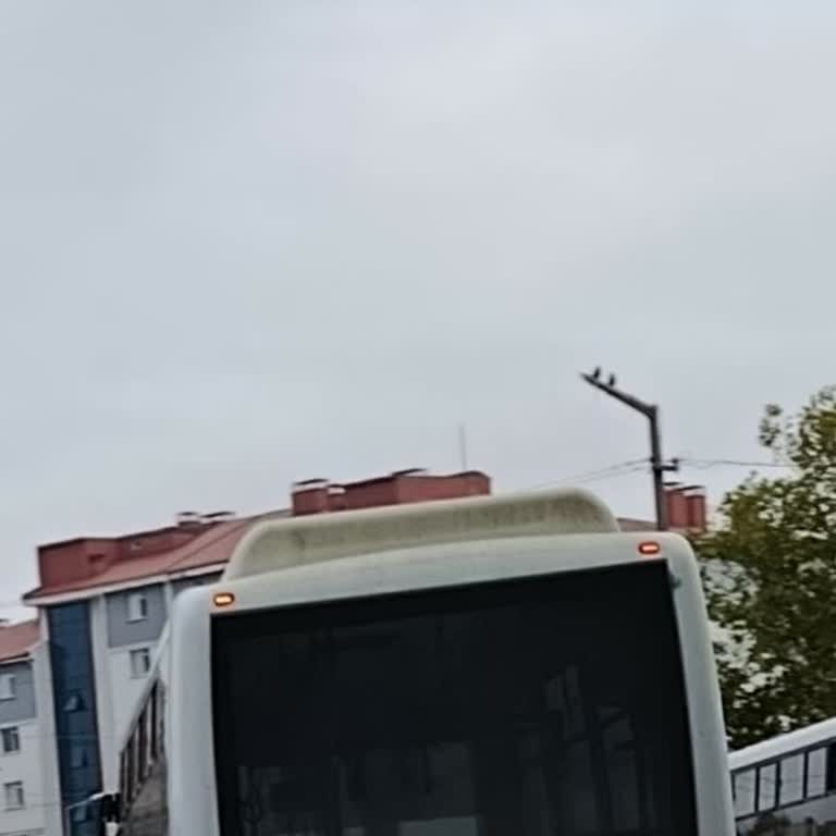 Serhad Birlik Şikayeti