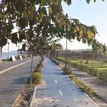 Tekirdağ Büyükşehir Belediyesi Millet Bahçesi Bisiklet Yolunda Tehlike Yaratan Dallar!