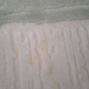 Yıkama Sonrası Halılardaki Lekeler Ve İletişim Sorunu