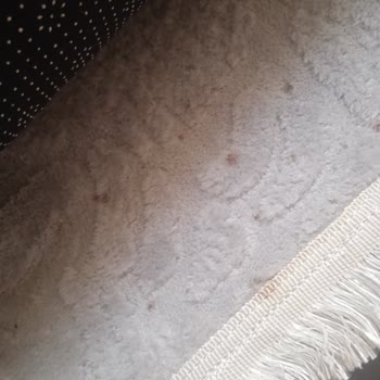 Yıkama Sonrası Halılardaki Lekeler Ve İletişim Sorunu