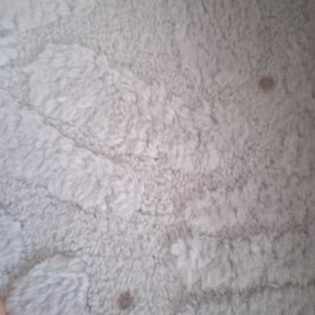 Yıkama Sonrası Halılardaki Lekeler Ve İletişim Sorunu