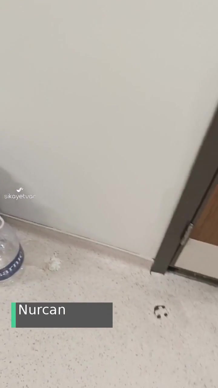 Çam Sakura Şehir Hastanesi Pis Bir Ortam! videonun kapak resmi