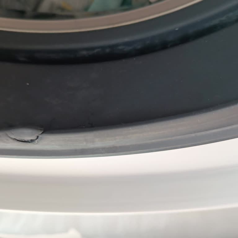 Çamaşır Makinesi Kapak Contası Sorunu Ve Servis Memnuniyetsizliği