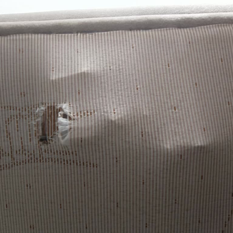 Bellona Yatak Bazasında Esneme Koltuk Takımında Yay Ve Gıcırdama Sorunu Yaşadım