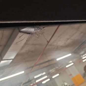 Anadolu Sigorta Cam Değişim Talebimi Gerekçesiz Reddetti