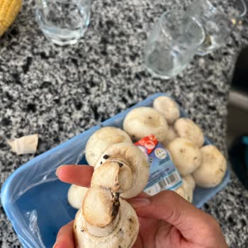 Migros'tan Aldığım Kapalı Ambalaj Mantar Küflü Çıktı, Ücret İadesi Talep Ediyorum