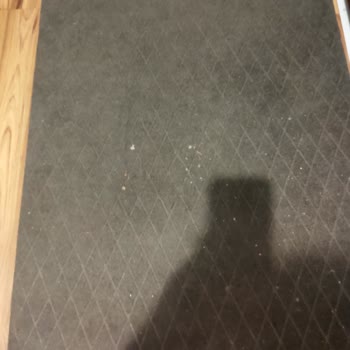 Eleman Yönlendir Ev Temizliği Hizmetinde Yetersiz Performans Ve İletişim Sorunu