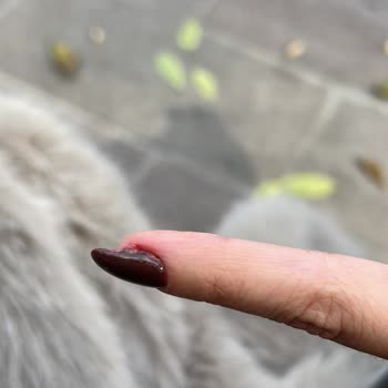 Gis Nail Bar'da Özensiz Manikür Ve İlgisiz Çalışan Mağduriyeti