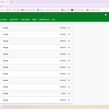 Kayıp İade Bonusum Eksik Ödendi, Mağduriyetimin Giderilmesini İstiyorum