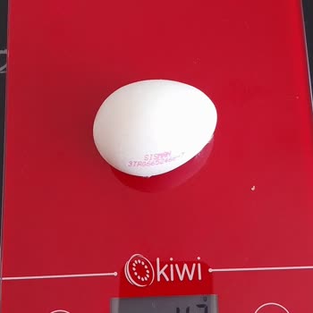 A101'den Aldığım Yumurtalar Beklenen Ağırlıkta Değildi