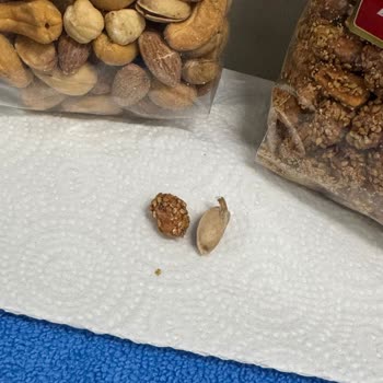 Çitello Kuruyemişleri Paketinden Kurt Çıkması Nedeniyle Hijyen Endişesi Yaşadık