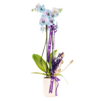 Yanıltıcı Ürün Görselleri Ve Yetersiz Müşteri Hizmetleri