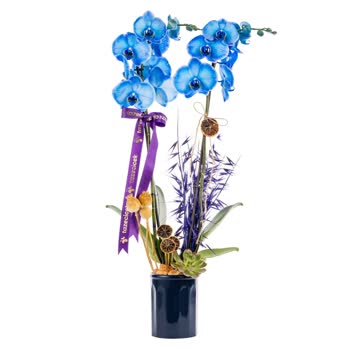 Yanıltıcı Ürün Görselleri Ve Yetersiz Müşteri Hizmetleri