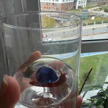 Çocuklar İçin Tehlikeli Cam Bardak Parçası Kolayca Kırıldı, Sağlık Riski Oluştu