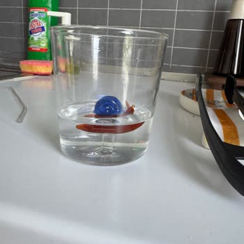 Çocuklar İçin Tehlikeli Cam Bardak Parçası Kolayca Kırıldı, Sağlık Riski Oluştu