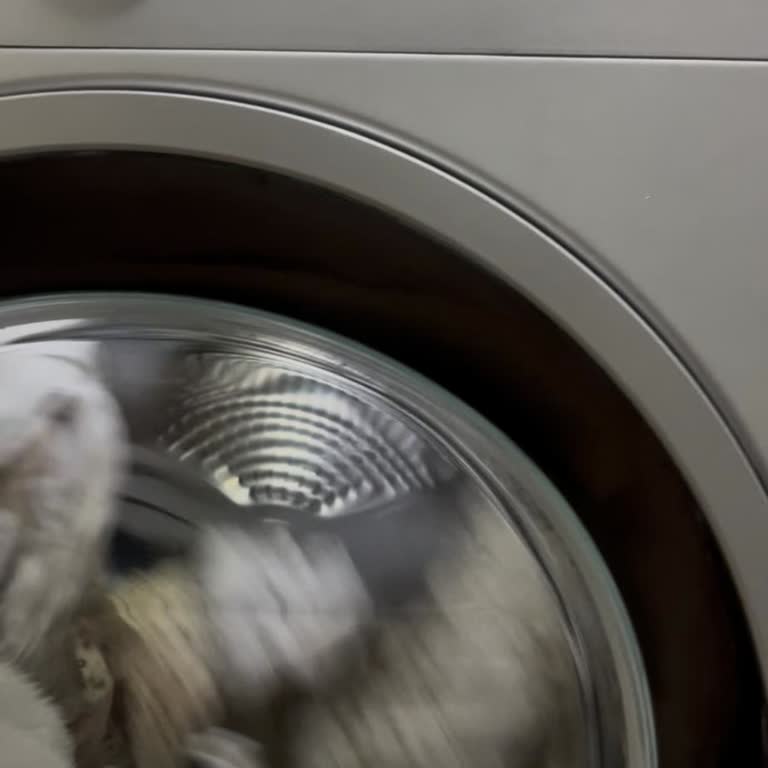 Arçelik Kurutma Makinesi Sürekli Sorunlu, Servis Ve Müşteri Hizmetleri Çözüm Sunmuyor