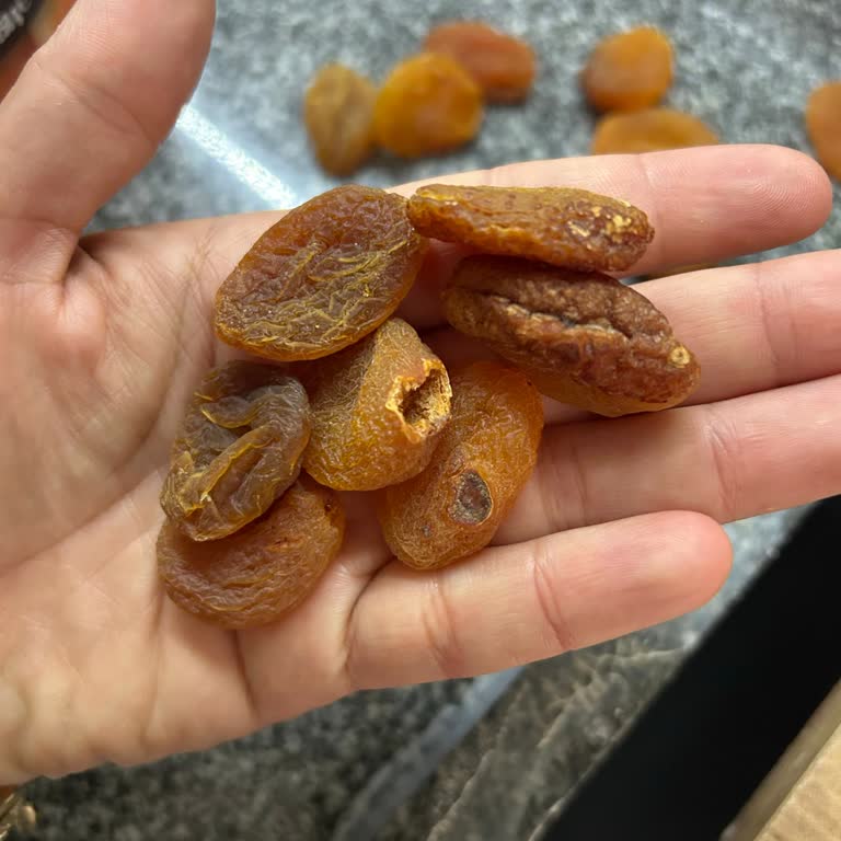 Çerezya Kuru Kayısıda Canlı Kurt Ve Sağlıksız Ürün Şoku