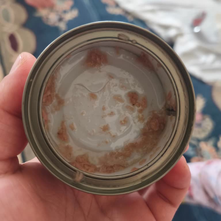 Dardanel Ton Balığı Kutusundan Kıl Çıkması Güvenimi Sarstı!