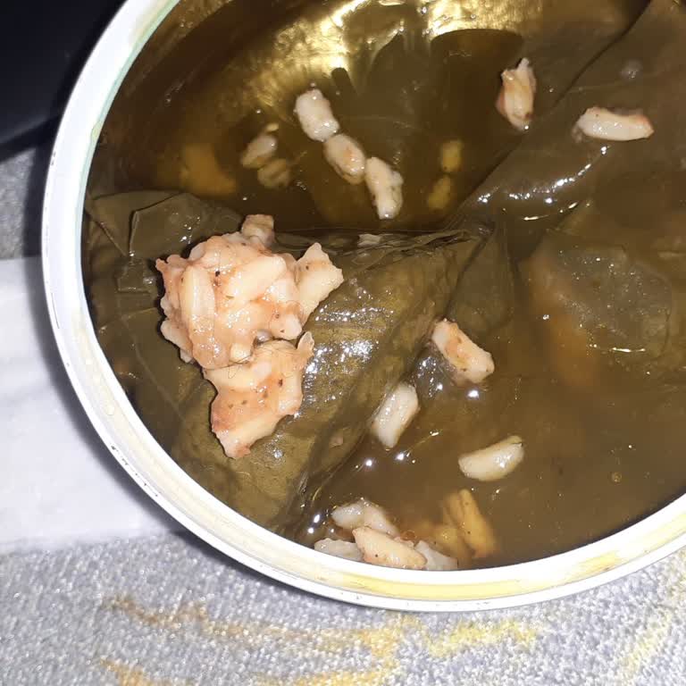 Fremdhaar im Sera Pazı Sarma Produkt entdeckt