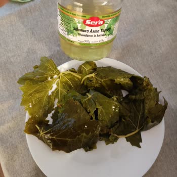 Mangelhafte Qualität bei Sera eingelegten Weinblättern