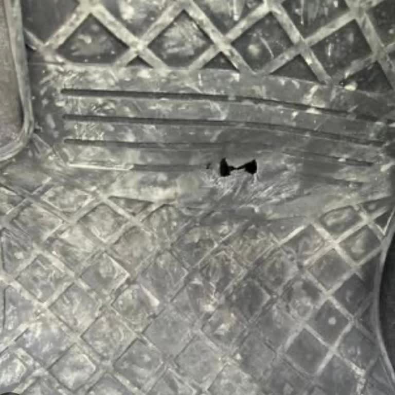 Kısa Sürede Yıpranan Paspas Hayal Kırıklığı Yarattı