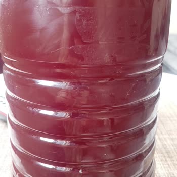 A101'den Aldığım Şalgam Bozuk Çıktı, Sağlığımız Riske Girdi!